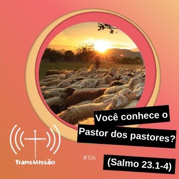 TransMissão | Bibotalk & Teoligado