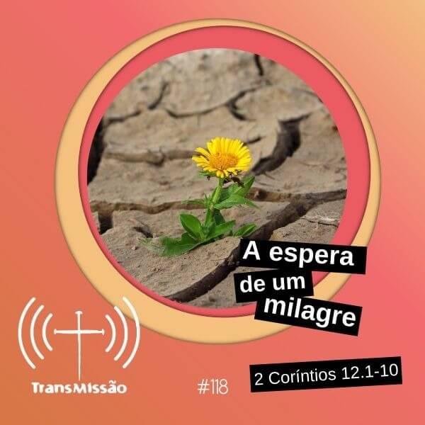 TransMissão | Bibotalk & Teoligado