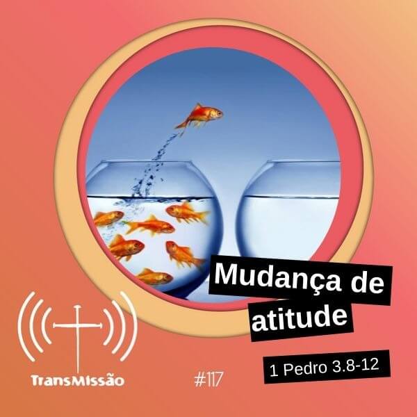 TransMissão | Bibotalk & Teoligado